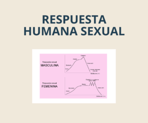 Respuesta Sexual humana